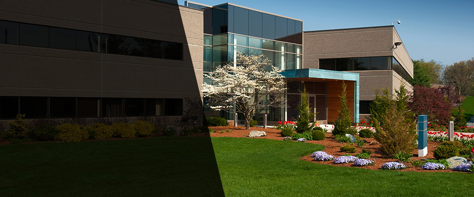 Shelby Landscapers