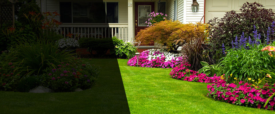 Shelby Landscapers