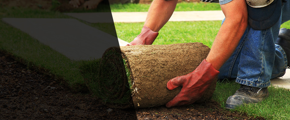 Shelby Landscapers